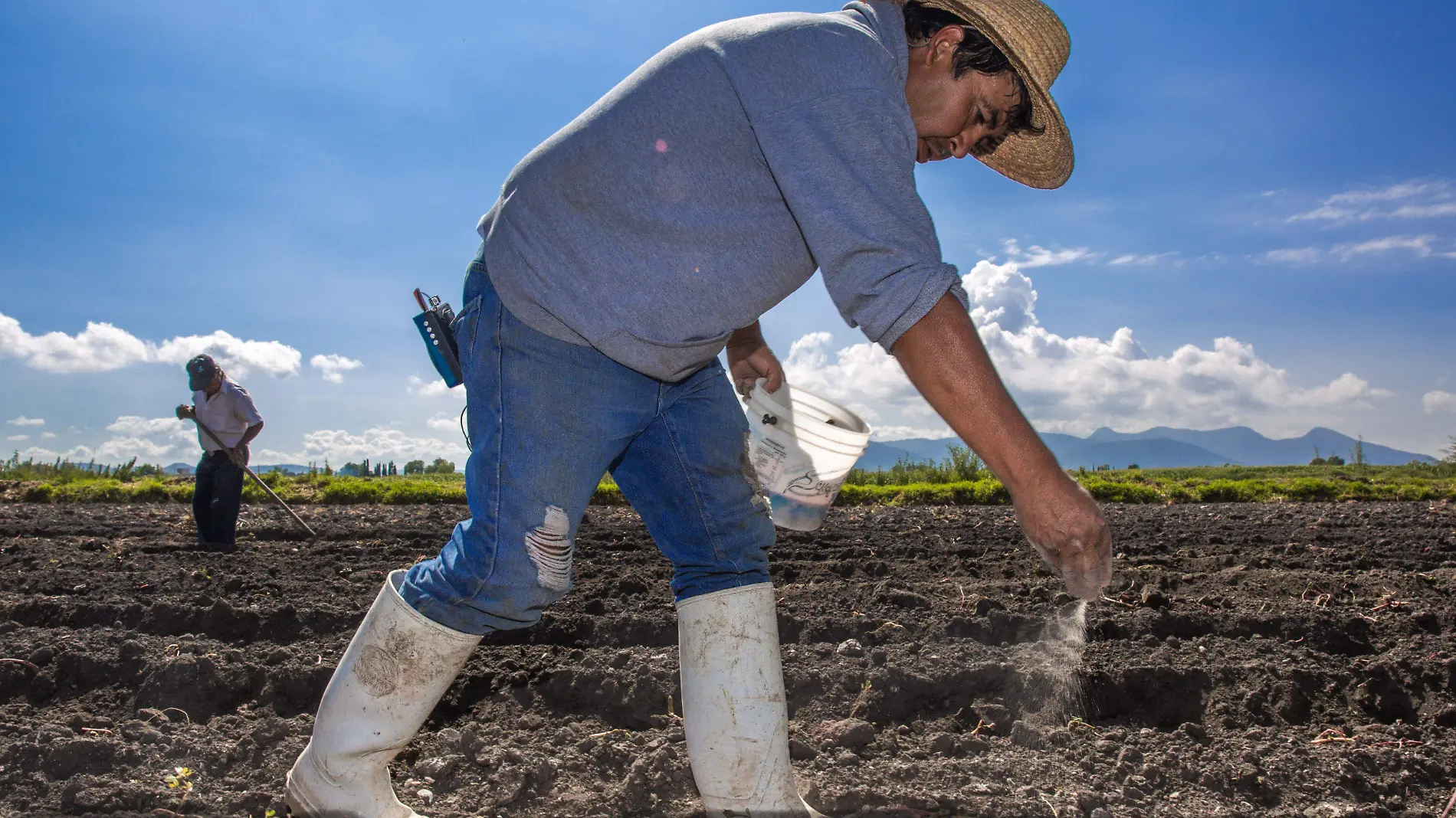 Agricultura Foto. Cuartoscuro